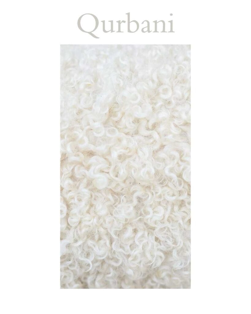 Minimal editorial visual with the word “Qurbani” over a soft textured white background symbolizing sacrifice, nearness to Allah ﷻ, purity, and spiritual devotion during Eid al-Adha.