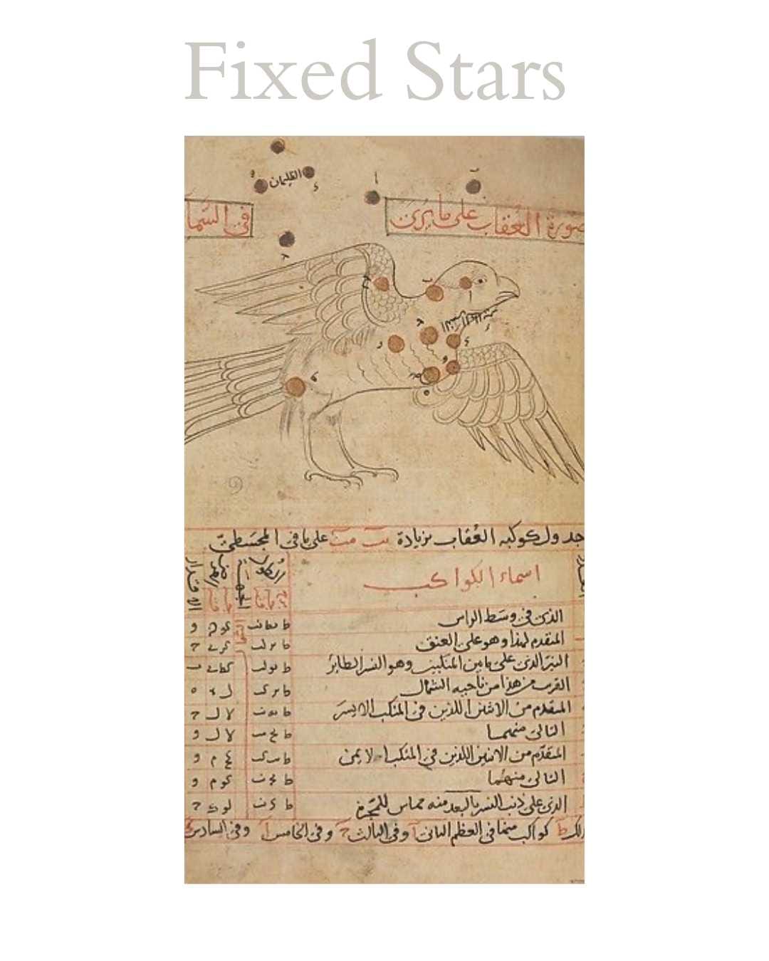 Illustrated manuscript page from Kitab Suwar al-Kawakib al-Thabitah (The Book of the Fixed Stars) by the 10th-century Muslim astronomer Abd al-Rahman al-Sufi, showing a constellation represented as a bird alongside Arabic astronomical annotations.