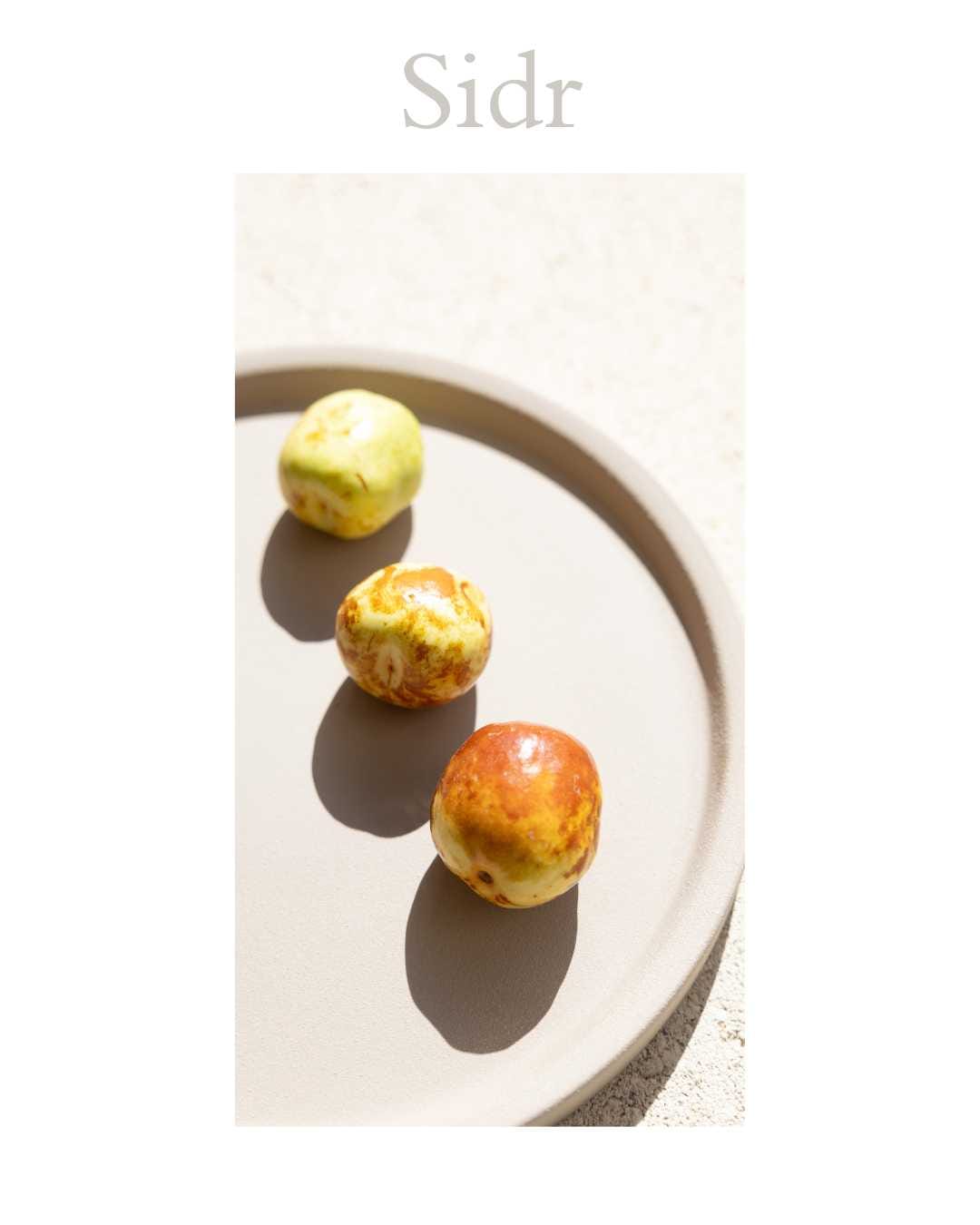Jujube fruits (Nabq) displayed on a minimalist ceramic plate, representing the Sidr tree lineage mentioned in the Qur'an and associated with nourishment, beauty, and Islamic heritage.